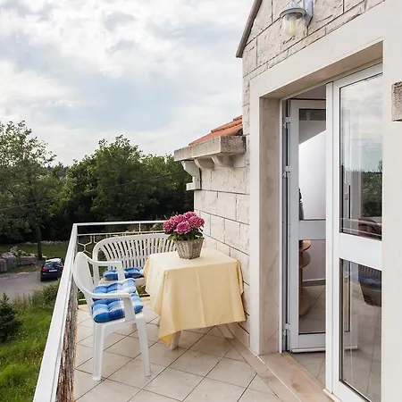 Daire Maslina Čilipi